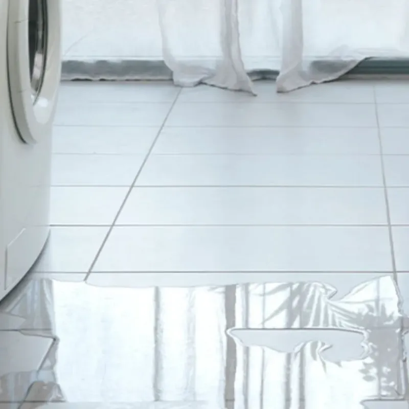 Appliance Leak Cleanup in Ashville, OH