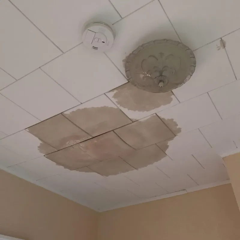 Ceiling Water Damage Repair in Ashville, OH