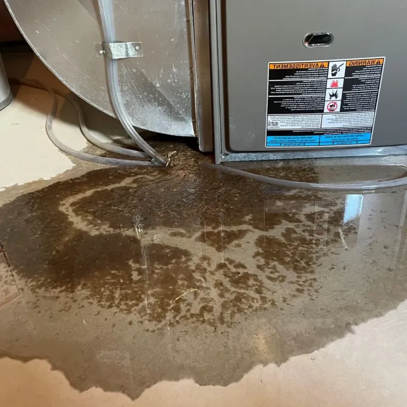 Pipe Burst and Leak Restoration in Ashville, OH