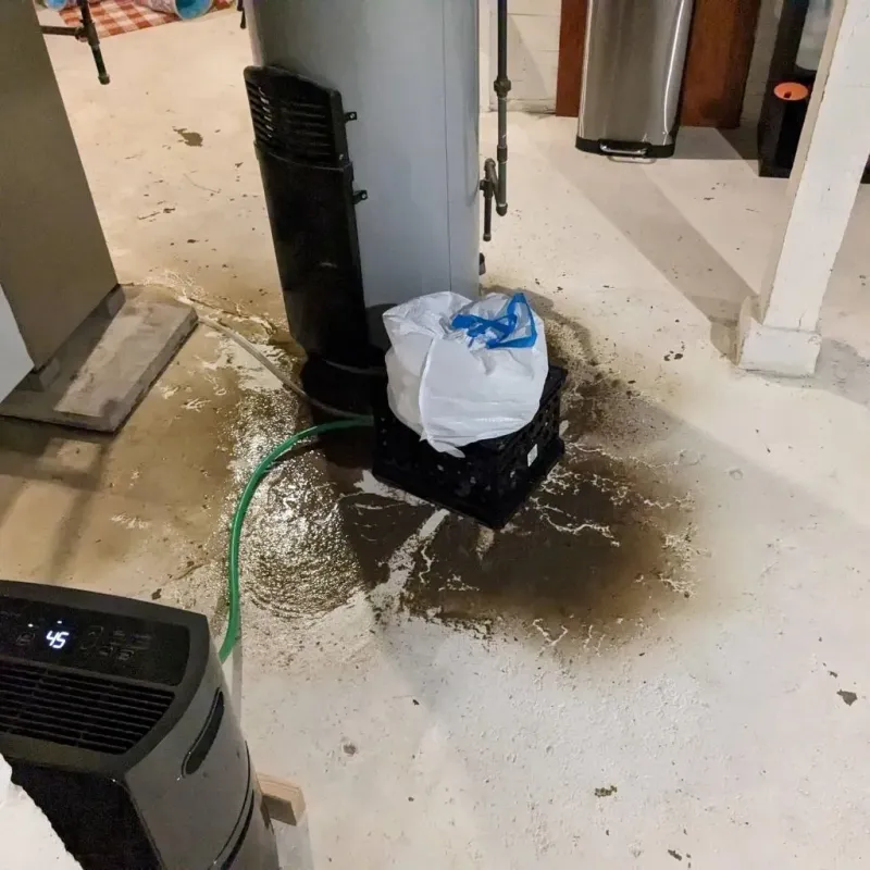Sewage Backup Cleanup Service in Ashville, OH